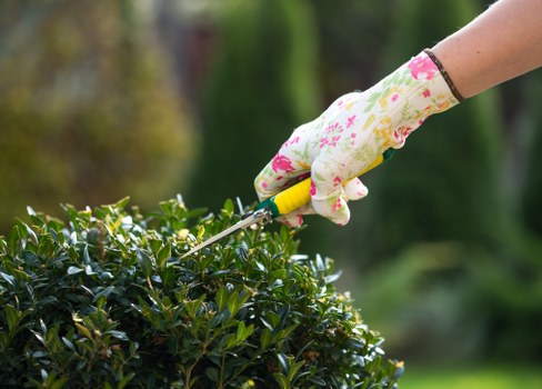 Gardener adjusting raised beds with adaptive tools in a residential garden