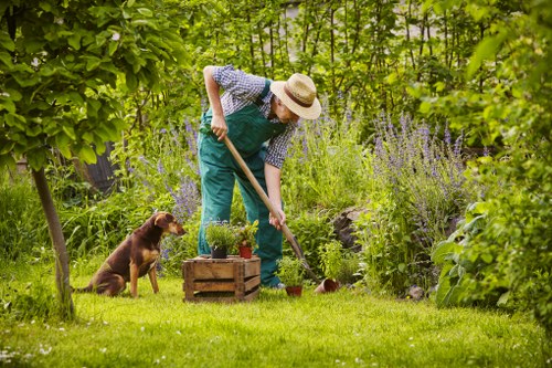 Accessible raised garden beds and level pathways in a backyard