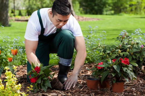 Gardener using low-emission equipment for maintenance
