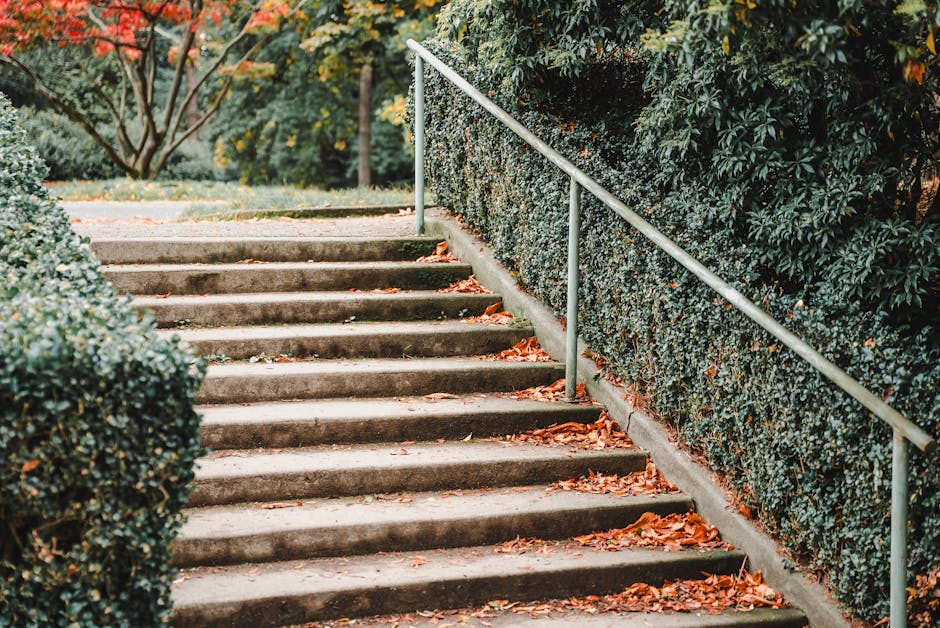 Concrete outdoor staircase with seven slightly worn steps leading up through a garden area, partially covered with fallen orange and brown leaves. On the right side of the stairs, a neatly trimmed hed